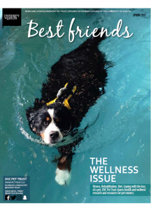 Best Friends Newsletter Spring 2017