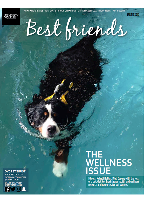 Best Friends Newsletter Spring 2017