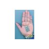 WordWear - Image 6