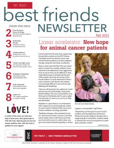 Best Friends Newsletter Fall 2013