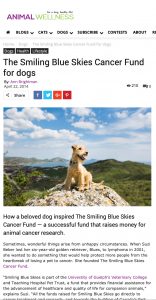 Animal Wellness: The Smiling Blue Skies Cancer Fund for dogs