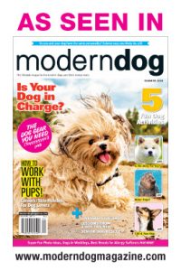 As Seen in Modern Dog