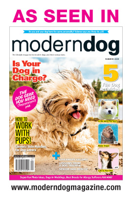 As Seen in Modern Dog