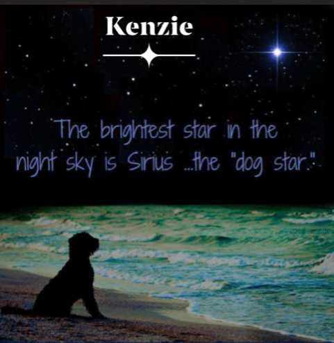 kenzie-andrewa-star