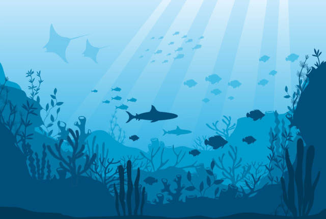superfoods-sea-dog-cat 15 Cancer-Fighting Foods for You and Your Dog