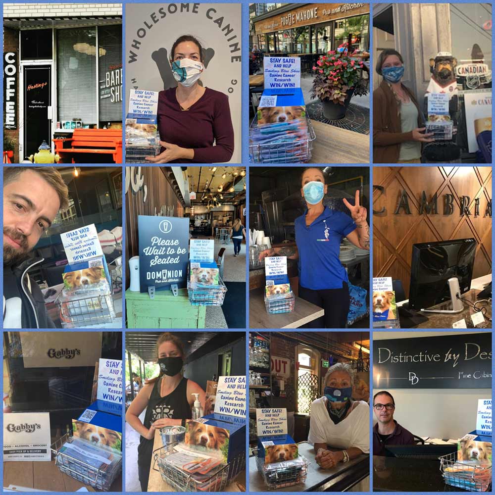 Toronto Businesses supporting Smiling Blue Skies through Mask Sales