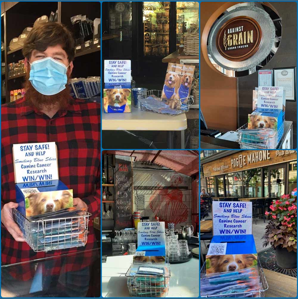 More Toronto Businesses supporting Smiling Blue Skies through Mask Sales