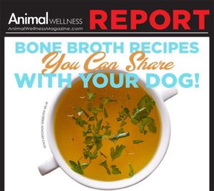 Bone Broth Recipes You Can Share With Your Dog