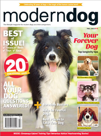 Modern Dog Magazine Fall 2022 Issue