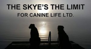 The Skye's The Limit