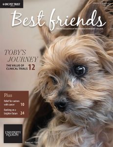 Best Friends Magazine: Spring / Summer 2024 Issue