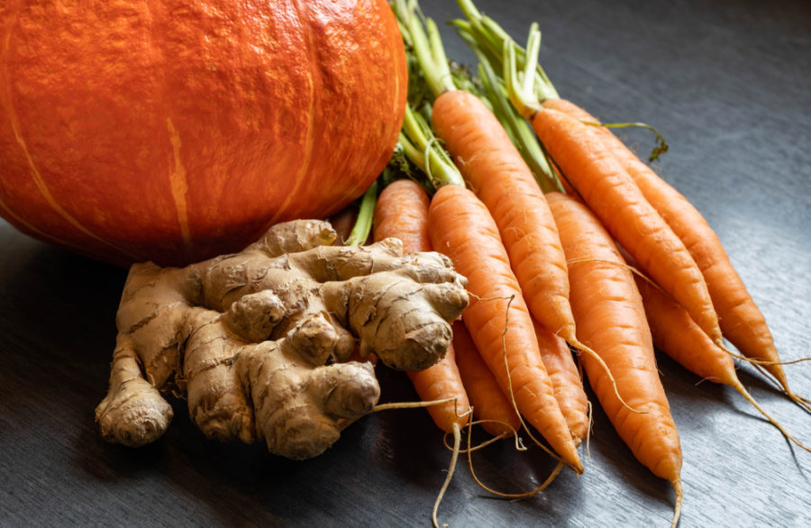 6 Foods That Can Ward off Worms in Your Dog