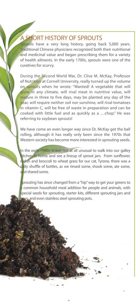 A short history of Sprout