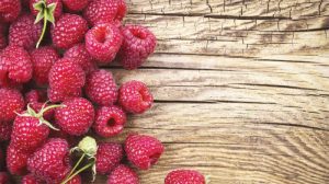 Antioxidants from whole foods for dogs and cats