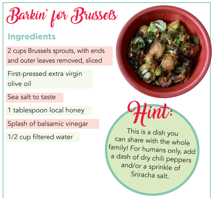 barkin-for-brussels
