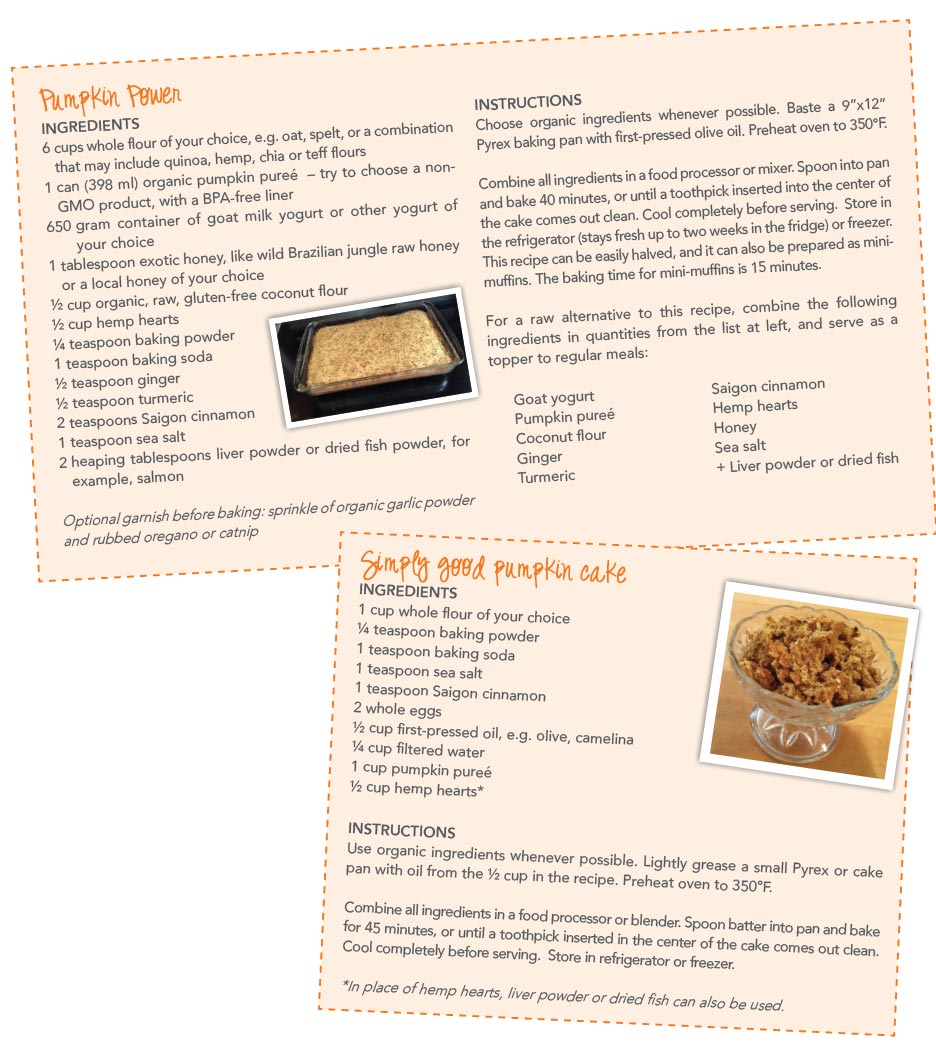 Pumpkin Power recipe
