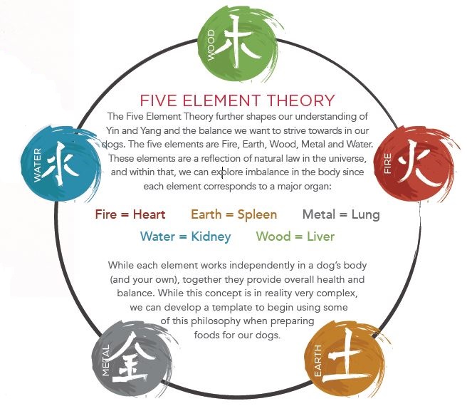 five element theory