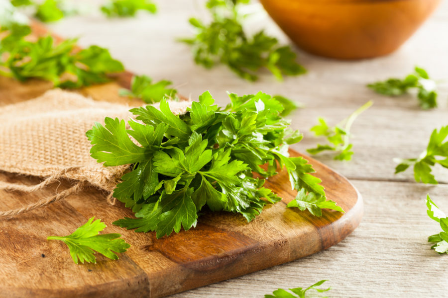 Adding Spices to Your Dog’s Diet