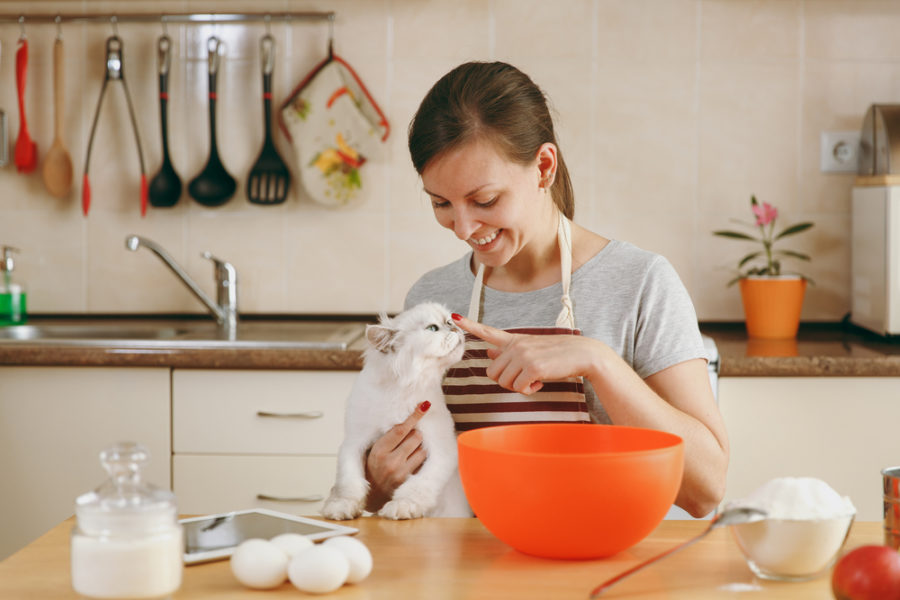 Homemade Cat Treats