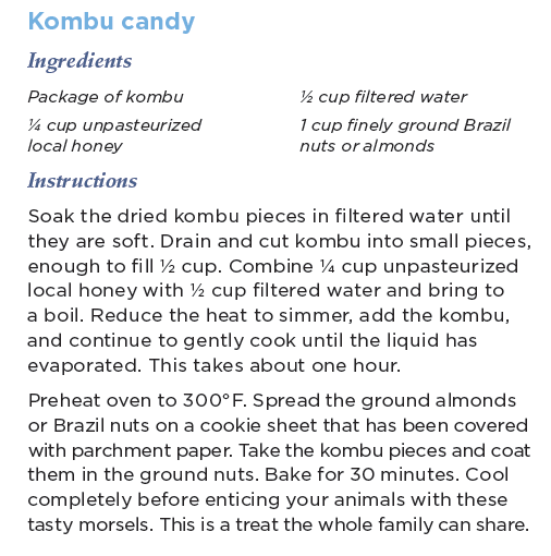 Kombu Candy Recipe