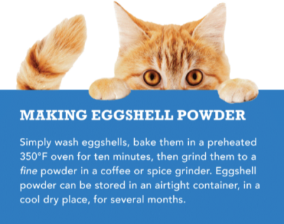 making eggshell powder recipe