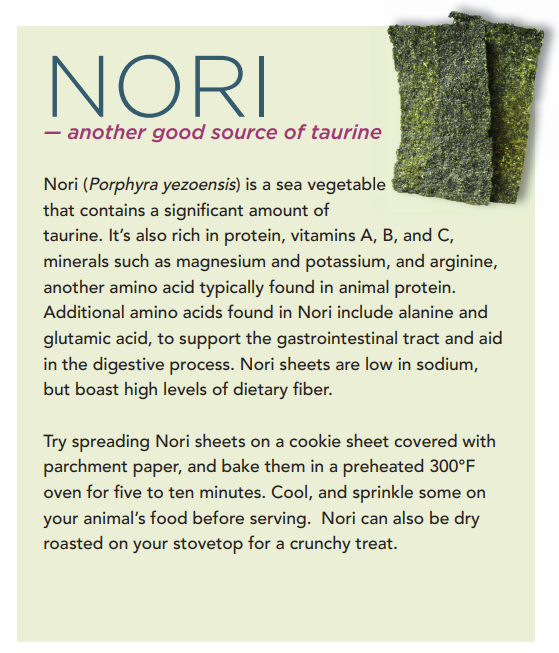 Nori