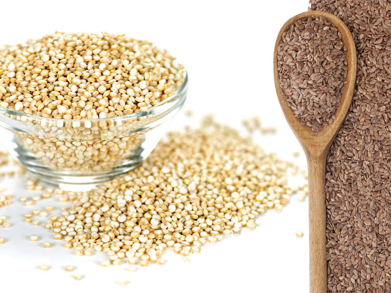 Adding Spices to Your Dog’s Diet