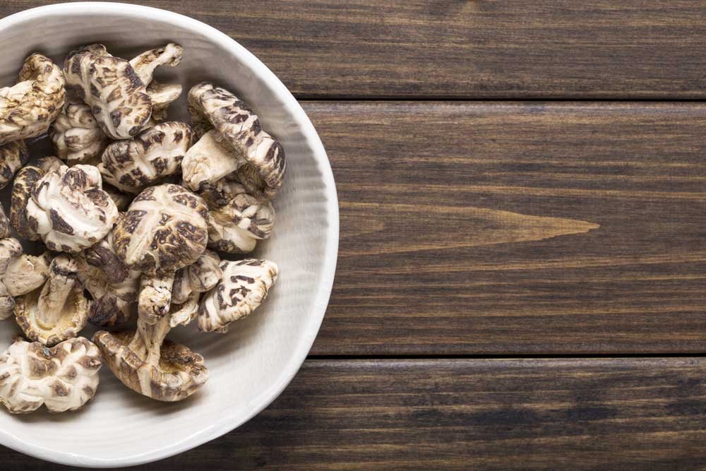 Adding Spices to Your Dog’s Diet
