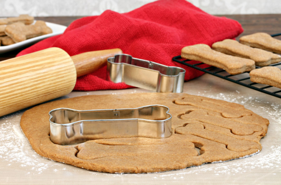 Adding Spices to Your Dog’s Diet