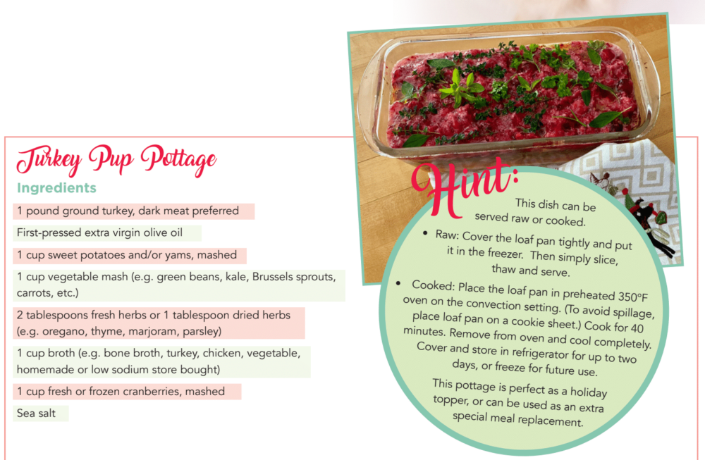 turkey-pup-pottage