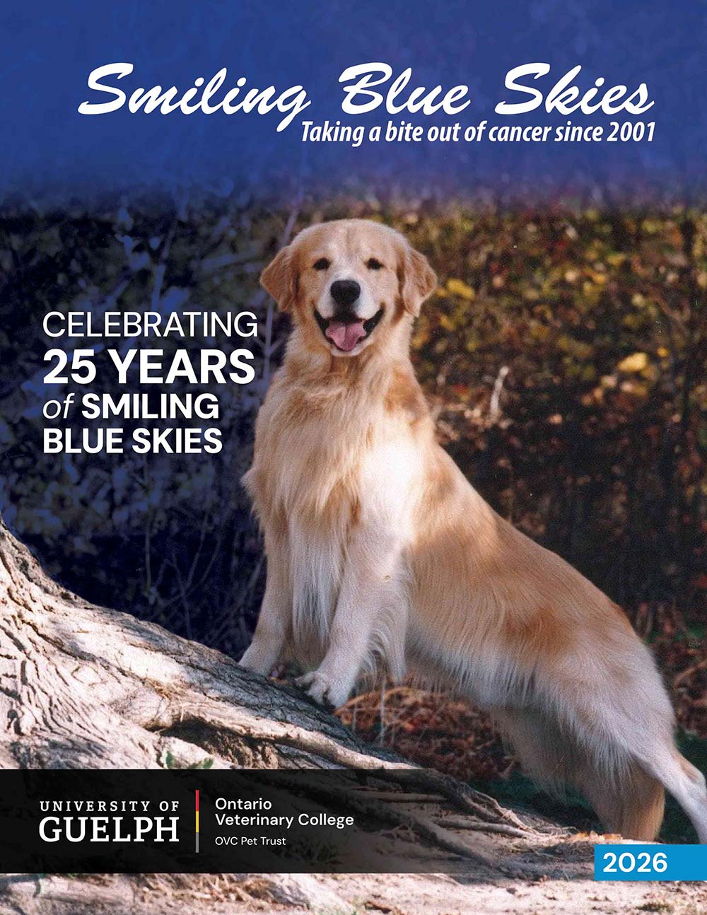 OVC Smiling Blue Skies 25th Anniversary digital spread cover